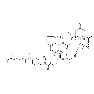 Lys-SMCC-DM1 TFA 1281816-04-3